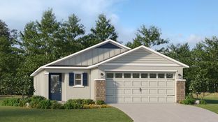 Belmont - Gum Lake Preserve - Manor Key Collection: Lake Alfred, Florida - Lennar