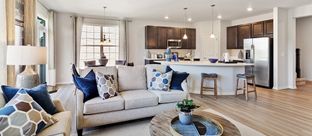 Mesa Verde - Waterford - Horizon: Elgin, Illinois - Lennar
