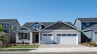Camden - South River Terrace - The Willamette Collection: Tigard, Oregon - Lennar