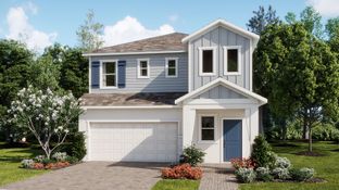 Lenox - Waterstone - Manor Collection: Mascotte, Florida - Lennar