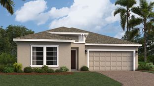 Hartford - Waterstone - Estate Collection: Groveland, Florida - Lennar