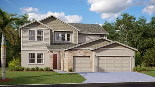Summerlin - Meadow Pointe - Legacy Collection: Groveland, Florida - Lennar