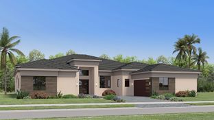 Vanderbilt - Whitmore Estates - The Oxford Collection: Lake Worth, Florida - Lennar
