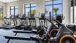 Sugarloaf Ridge - Executive Collection - Minneola, FL