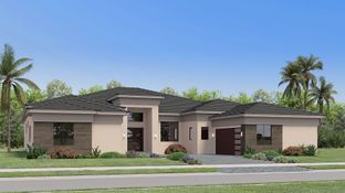 Vanderbilt - Whitmore Estates - The Oxford Collection: Lake Worth, Florida - Lennar