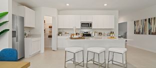 Dawn - Oak Hammock - Estate Key Collection: Deland, Florida - Lennar