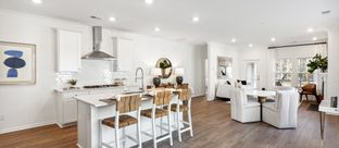 CARLYLE - Horizons at Carnes Crossroads | 55+ - Cottage Collection: Summerville, South Carolina - Lennar