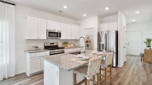 PALMETTO - Heron's Walk at Summers Corner - Carolina Collection: Summerville, South Carolina - Lennar
