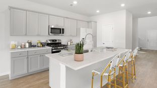 FOXTAIL - Heron's Walk at Summers Corner - Carolina Collection: Summerville, South Carolina - Lennar