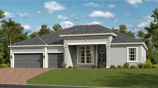 Toscana - Wellen Park Golf & Country Club - Estate Homes: Venice, Florida - Lennar