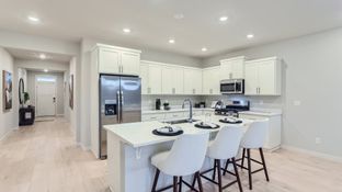 Endicott - South River Terrace - The Willamette Collection: Tigard, Oregon - Lennar