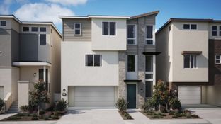 Apex 3 - The Hill District - Apex: San Marcos, California - Lennar