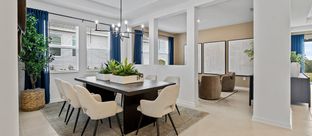 Lakewood - Meadow Pointe - Legacy Collection: Groveland, Florida - Lennar