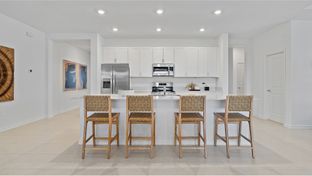 Lakewood - Meadow Pointe - Legacy Collection: Groveland, Florida - Lennar