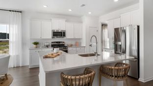 LITCHFIELD II - Cypress Preserve - Arbor Collection: Moncks Corner, South Carolina - Lennar