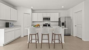 Edison - Preserve at LPGA - Manor Key Collection: Daytona Beach, Florida - Lennar