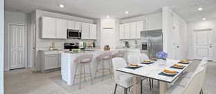 Jefferson - Hamilton Bluff - Manor Key Collection: Haines City, Florida - Lennar