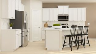 Cambridge - Elizabeth - Meadows: Fort Mill, North Carolina - Lennar