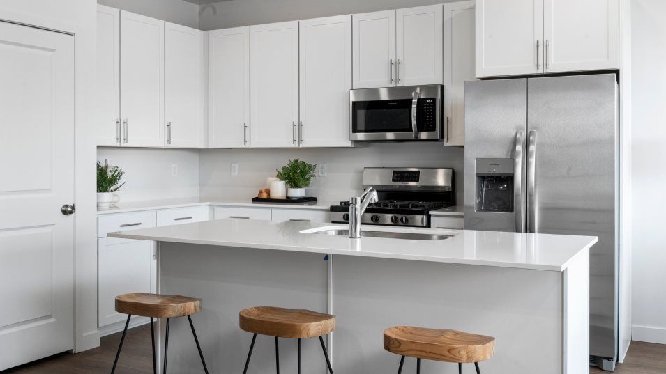 1608 W Viola Lane (Residence 3)