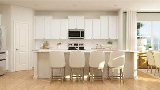 Dover - Elizabeth - Meadows: Fort Mill, North Carolina - Lennar