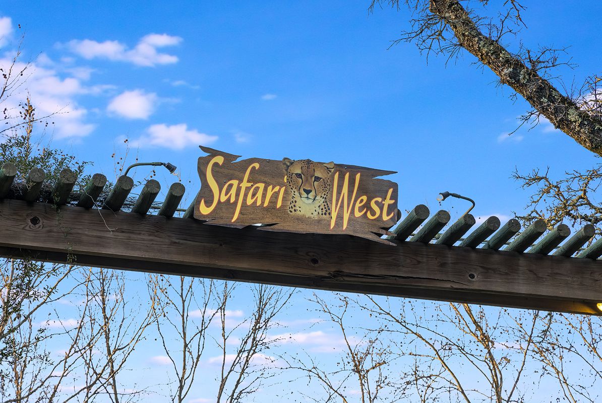 Santa Rosa Local Safari West
