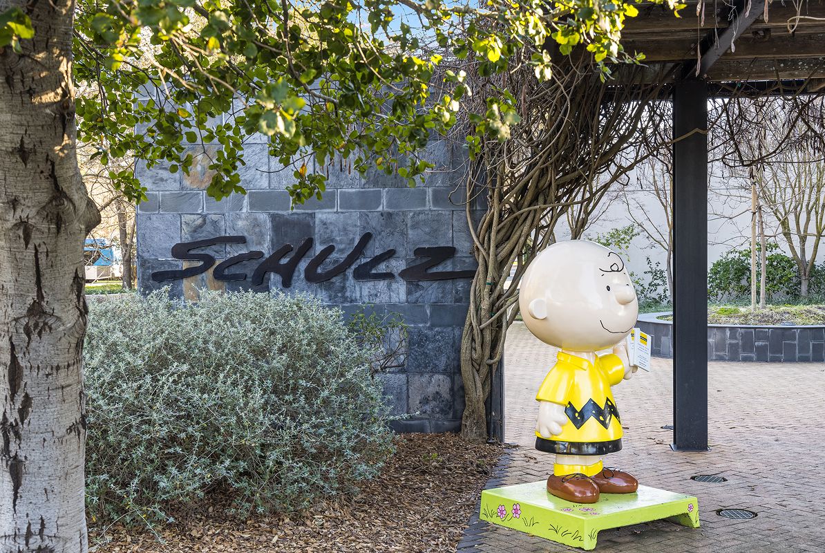 Santa Rosa Local Charles M Schultz Museum