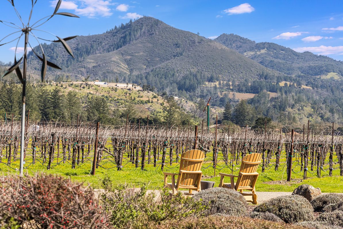 Santa Rosa Local Wineries