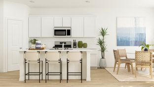 Cadence - Hurricane Creek - Classic North: Anna, Texas - Lennar