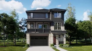 Visage - Parterre - The Skyline Collection: Thornton, Colorado - Lennar