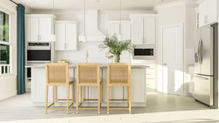 Camelot Basement - Plantation Lakes - South Shore Signature: Millsboro, Delaware - Lennar