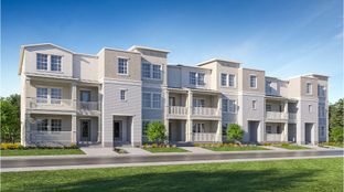 Flagler - Townes at Manhattan Crossing: Tampa, Florida - Lennar