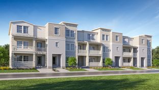 Plant - Townes at Manhattan Crossing: Tampa, Florida - Lennar