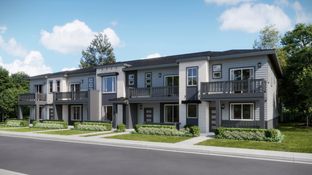 Plan 305 - Sterling Ranch - The Parkside Collection: Littleton, Colorado - Lennar