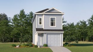 Baja - Foree Ranch - Wellton Collection: Providence Village, Texas - Lennar