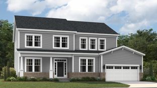 Concord Basement - Harpers Mill - Executive Collection: Chesterfield, Virginia - Lennar