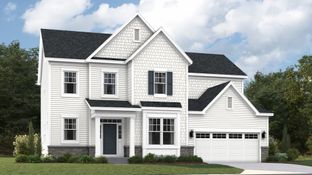 Innisbrook Basement - Harpers Mill - Executive Collection: Chesterfield, Virginia - Lennar