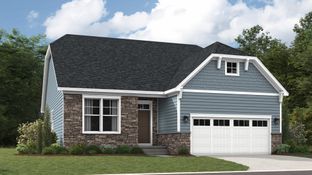 Lexington Basement - Harpers Mill - Executive Collection: Chesterfield, Virginia - Lennar