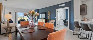 Discovery - Hidden Ridge - Estate Collection: Groveland, Florida - Lennar