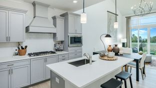 Lafayette - Parklands | Active Adult 55+ - Parklands Villas: White Plains, District Of Columbia - Lennar
