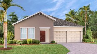 Bourne II - Tohoqua - Estates Collection: Kissimmee, Florida - Lennar