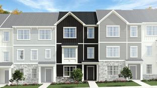 Bradley - Stoneriver - Frazier Collection: Knightdale, North Carolina - Lennar