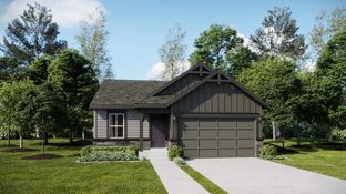 Dolly - Percheron - The Petal Collection: Colorado Springs, Colorado - Lennar