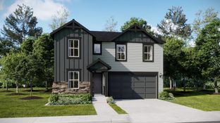 Marigold - Percheron - The Petal Collection: Colorado Springs, Colorado - Lennar