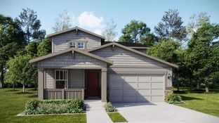 Orchid - Percheron - The Petal Collection: Colorado Springs, Colorado - Lennar