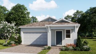 Soho - Waterstone - Manor Collection: Mascotte, Florida - Lennar