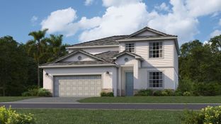 Amalfi - Lakespur at Wellen Park: Venice, Florida - Lennar