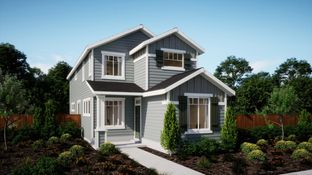 Colton - Butternut Creek - The Forrest Collection: Hillsboro, Oregon - Lennar