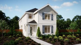 Conifer - Butternut Creek - The Forrest Collection: Hillsboro, Oregon - Lennar