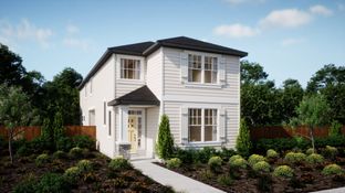 Conifer - Butternut Creek - The Forrest Collection: Hillsboro, Oregon - Lennar