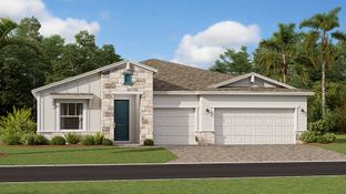 Estero - Wellness Ridge - Chateau Collection: Clermont, Florida - Lennar